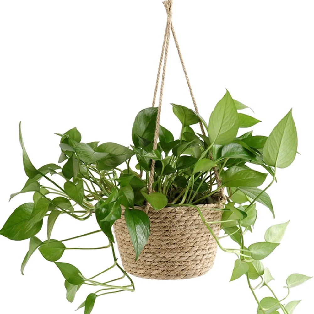 Woven Hanging Basket Planter