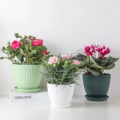 Round Planter Pot with Tray