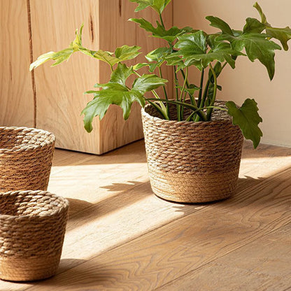 Woven Decorative Storage Basket