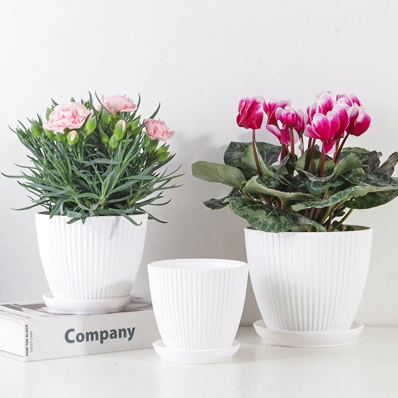 Round Planter Pot with Tray