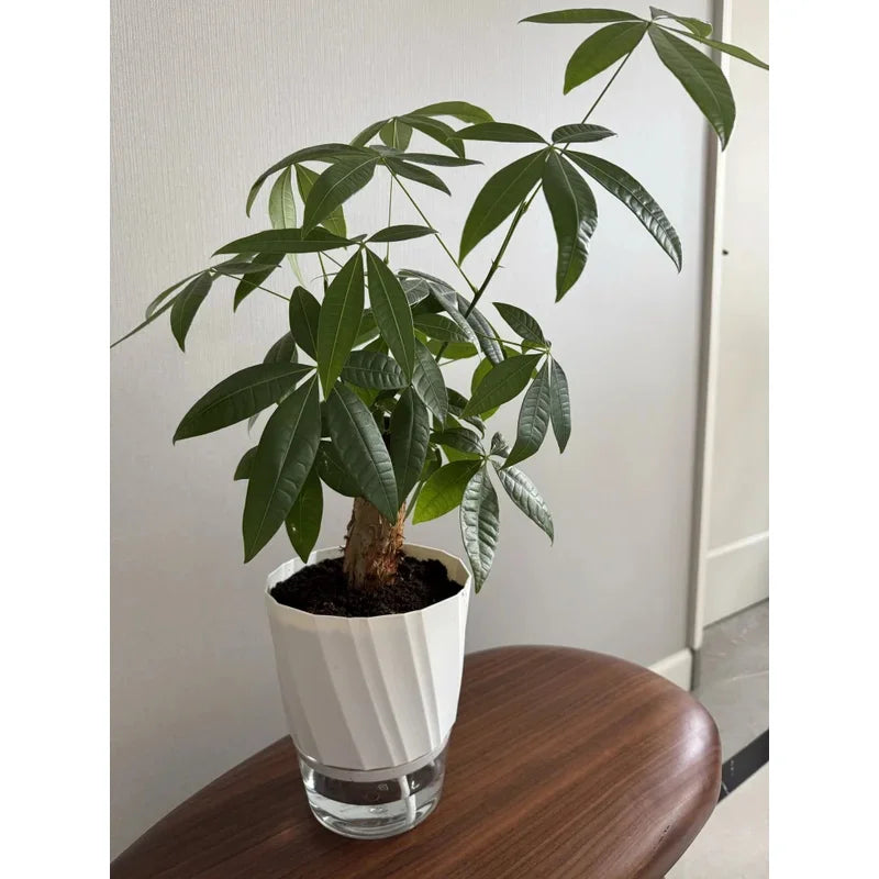 Double Layer Self-Watering Planter