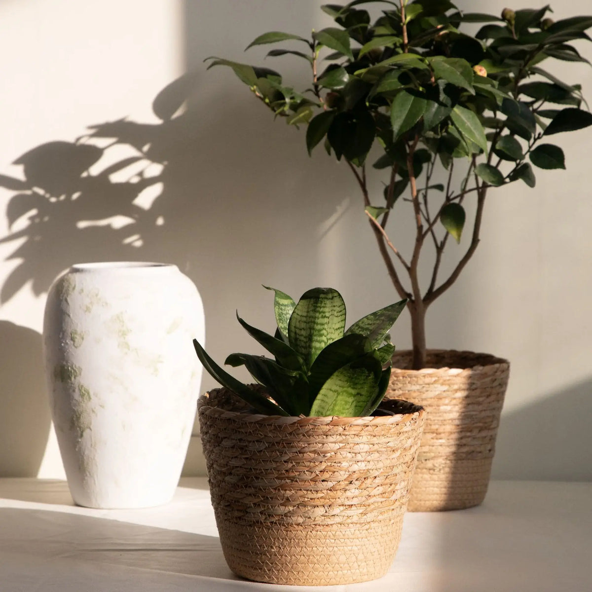 Woven Decorative Storage Basket