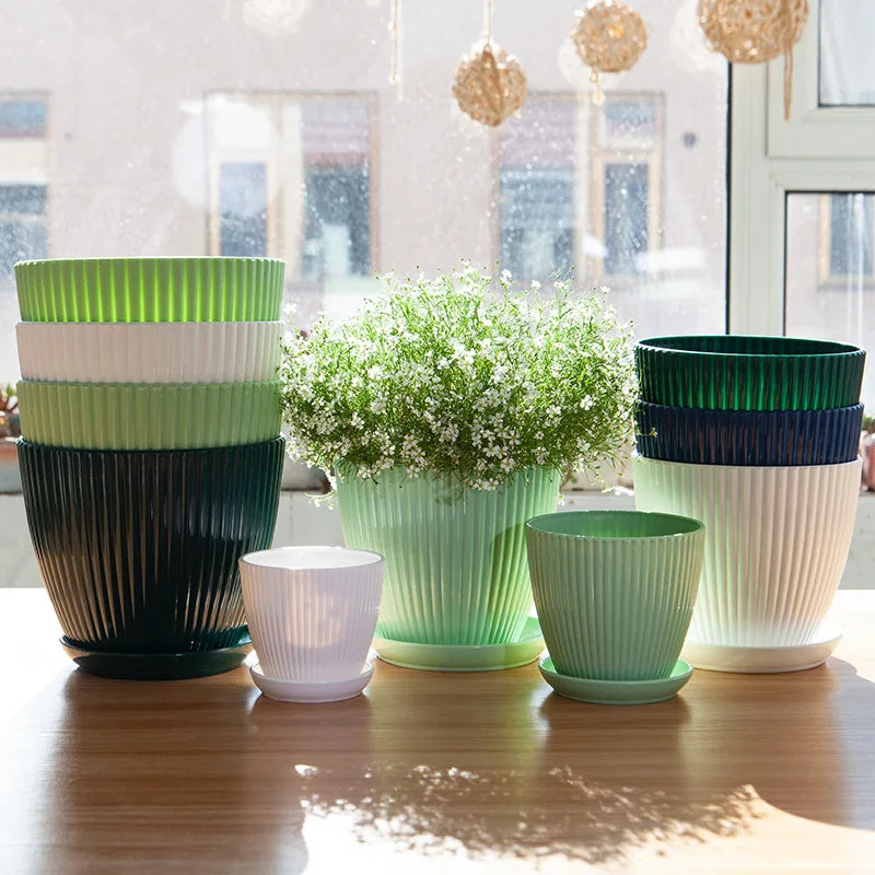 Round Planter Pot with Tray