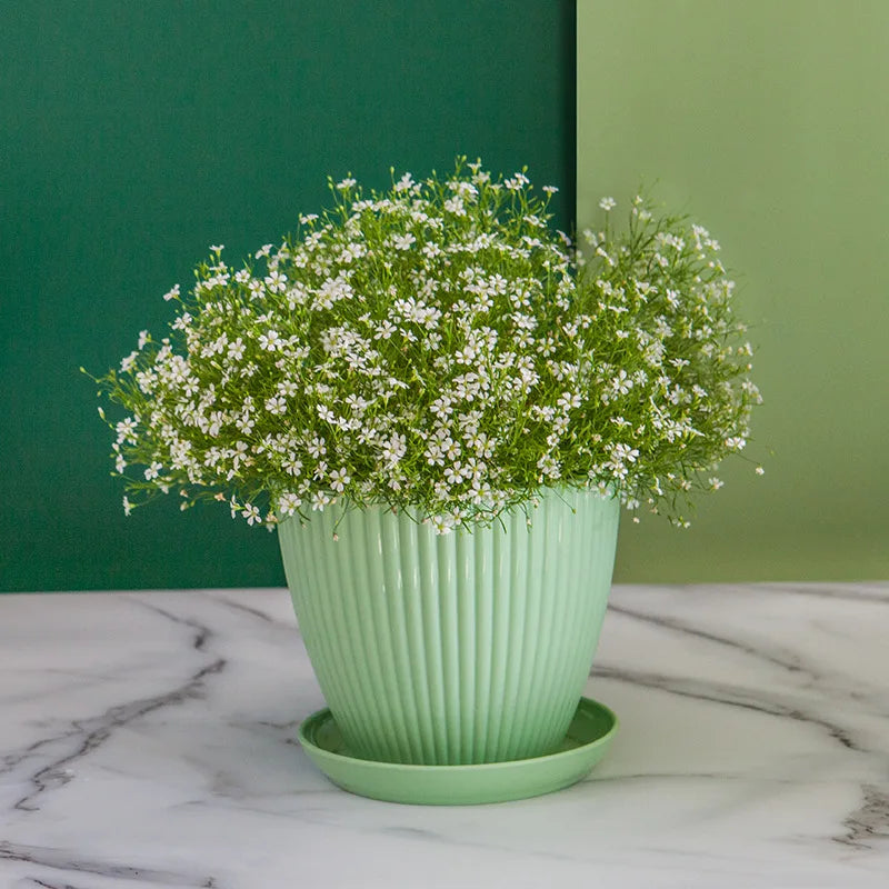 Round Planter Pot with Tray